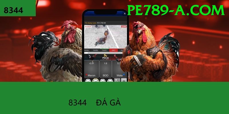Đá Gà Trực Tiếp - pe789